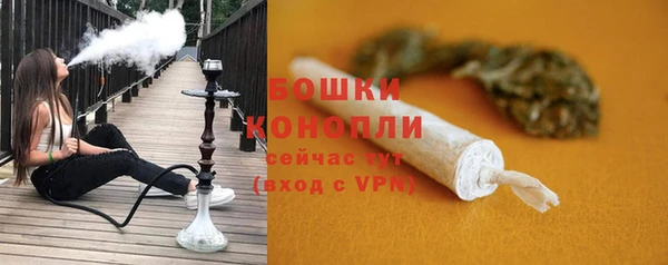 стаф Кинешма