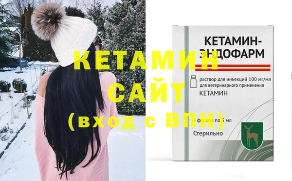шишки Коряжма