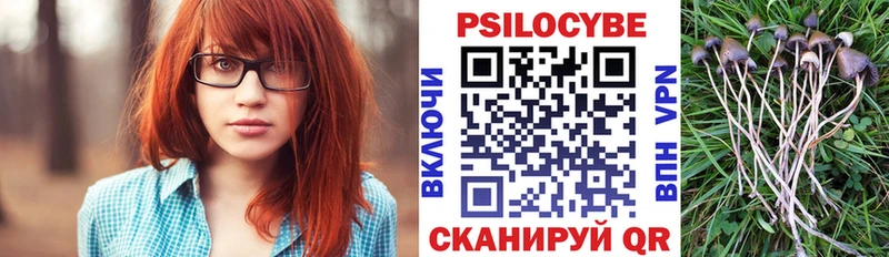 Галлюциногенные грибы Magic Shrooms  купить наркотик  Пугачёв 